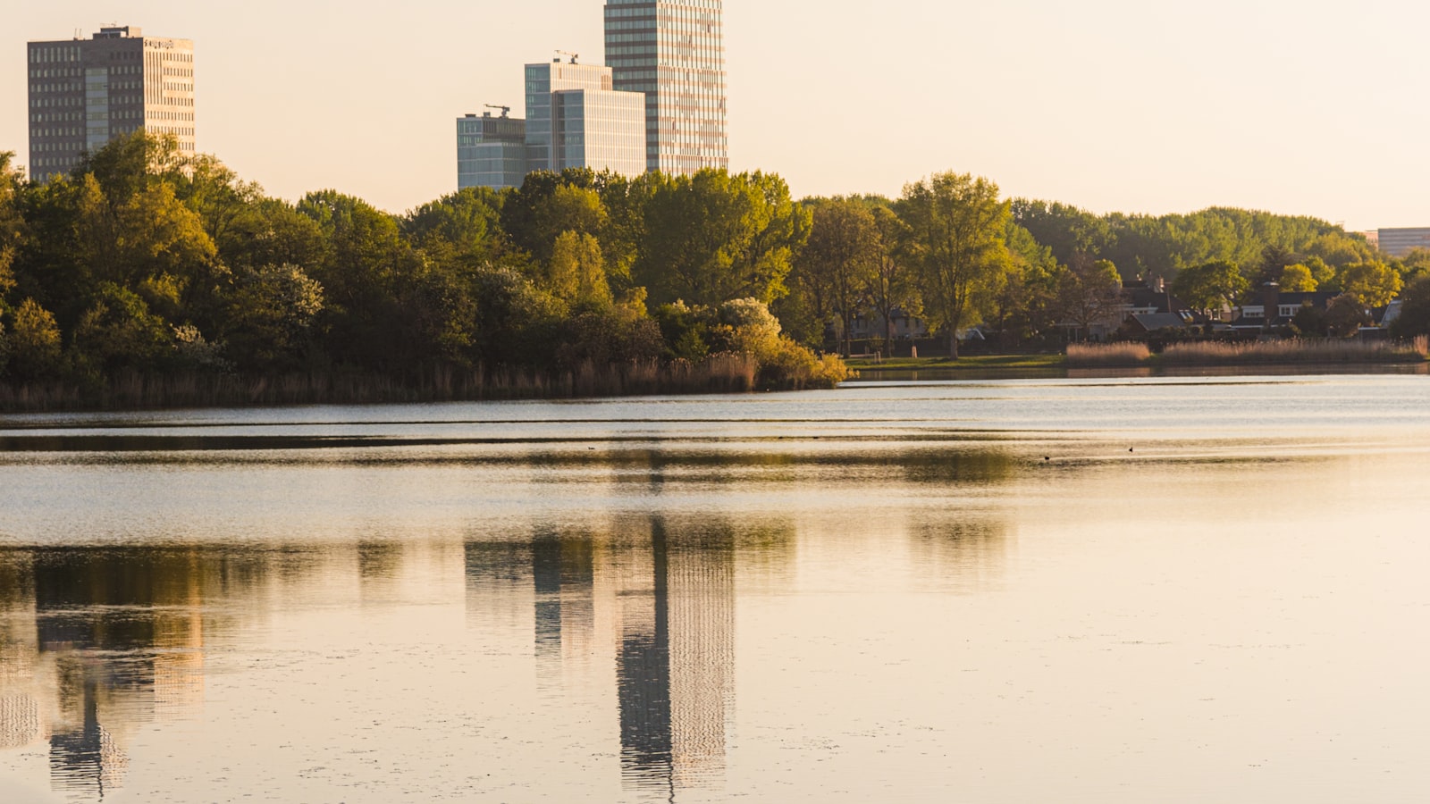 Skyline van Almere Stad gezien over het water