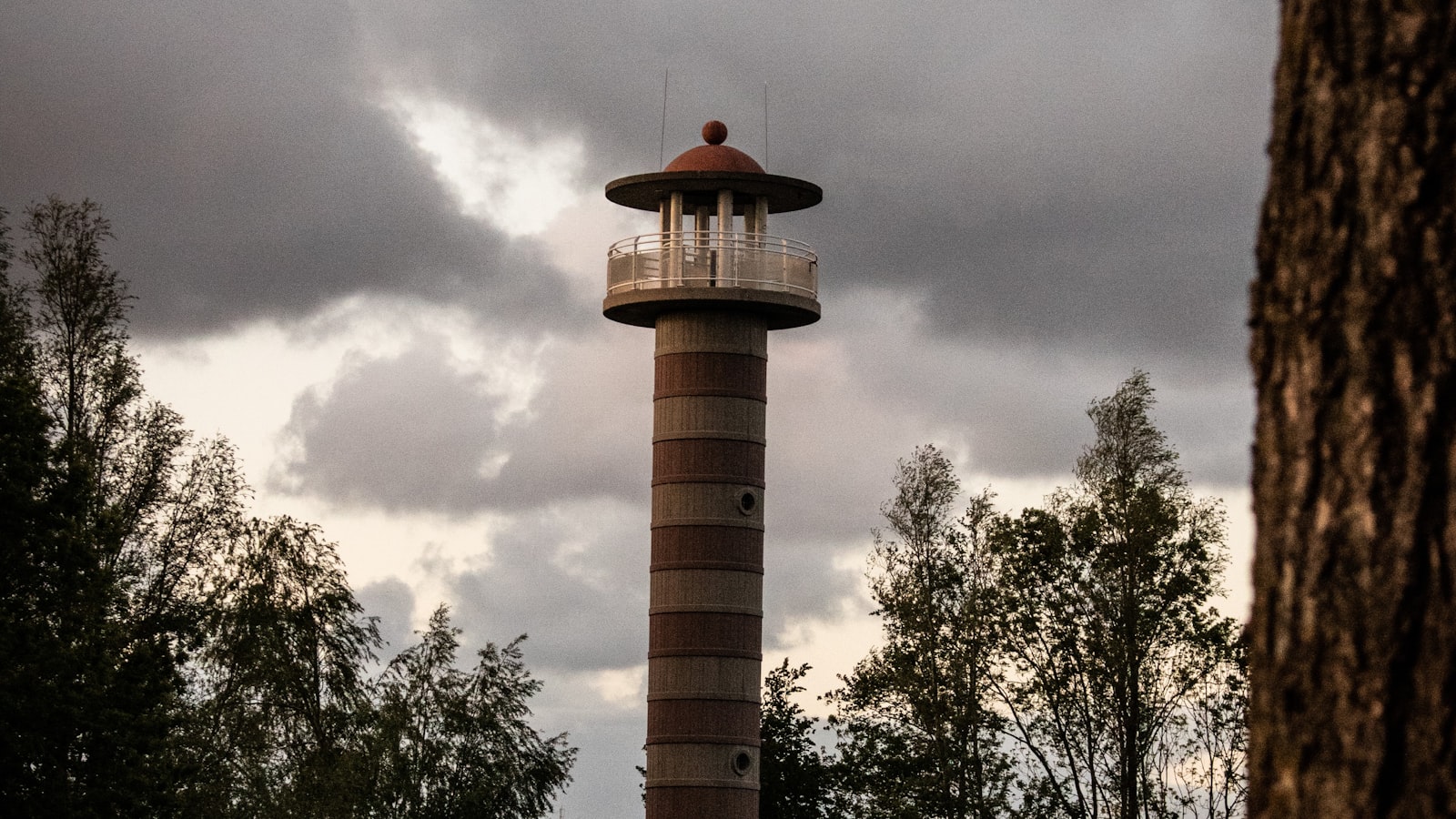 Uitkijktoren tussen de bomen in Almere